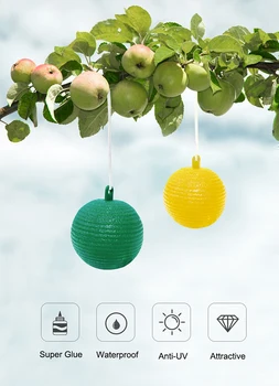 

Hanging Fly Trap Ball Fruit Fly Catcher Sticky Trap Fly Outdoor Disposable Wasp Bee Insect Trap Pest Control Product for Garden