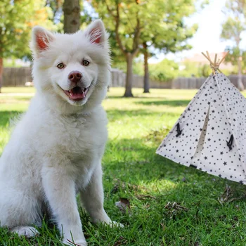 

Little Pets Dog Kennel And Cat Bed House for Pets Portable Tent Washable Breathable Cage