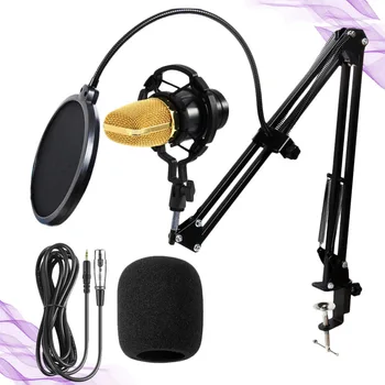

Desktop Sound Recording Microphone Household Live Microphone Computer Karaoke Microphone (Black Golden, Cattlehide Box)