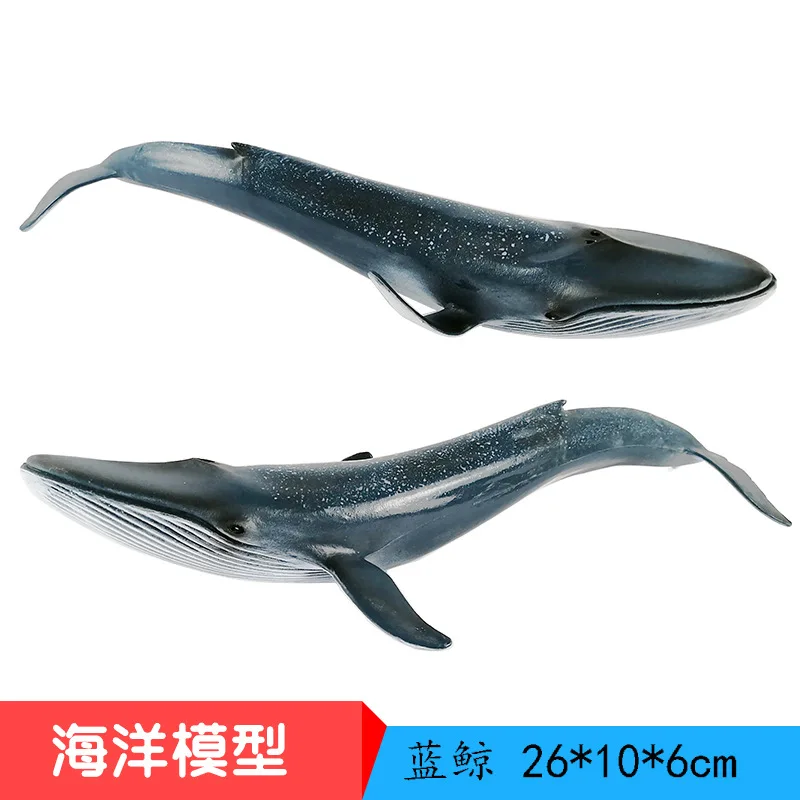

Model Marine Organism Model Blue Whale Plastic Real Seabed Nursing Animal Whale Decoration CHILDREN'S Toy