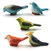 5pcs Colorful Bird