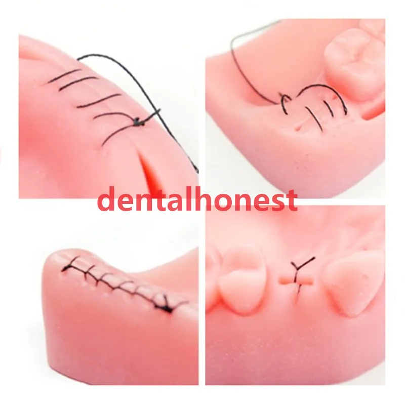 Стоматологический Оральный/резиновый шов тренировочный модуль силиконовый Пародонтит модель шва