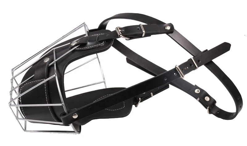 dog muzzle