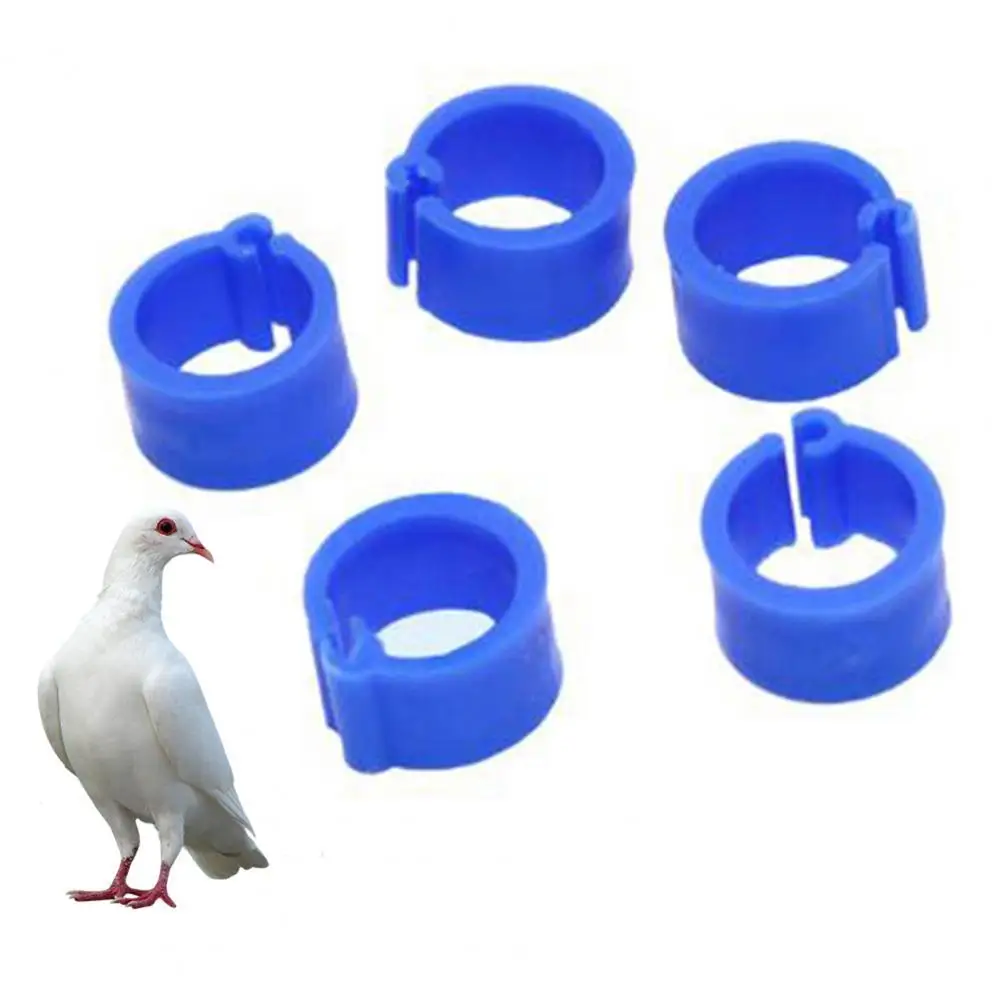 100PcsBirdsLegClipsHarmlessExtensiblePlasticColor8mmPigeon