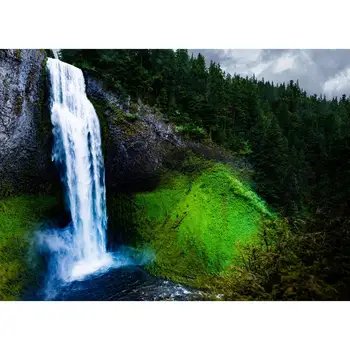 

Vinyl Custom Photography Backdrops Props Landscape wood Theme Photo Studio Background HM20721-02