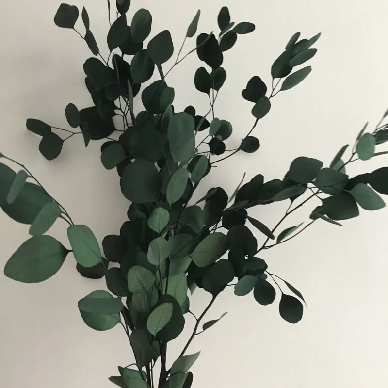 80 г/30-45 см Природный свежий консервированный лист эвкалипта, цветок этернелл, украшение подарочной коробки для дома на Рождество, свадьбу, Роза этернелла