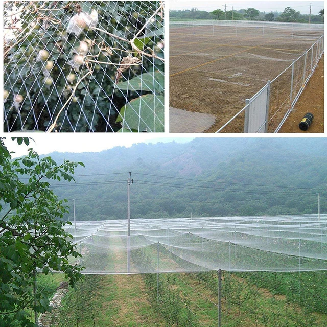 Garden Anti Bird Net Fruit Tree Plant Crop Protection Mesh Catch Bird Trap  Farm Orchard Pest Control Garden Accessories - Traps - AliExpress