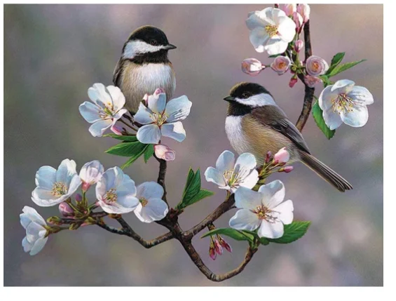 DZDP11.29 Полная квадратная дрель DIY Алмазная Картина Павлин животное Алмазная вышивка крестиком ручная работа Стразы Декор для дома - Цвет: DZDP11.29