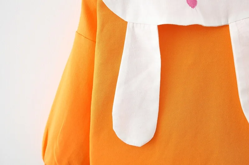 18263200592_1193325341