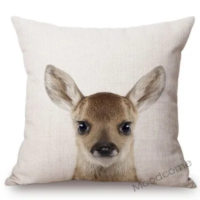 conew_t215 (26) 副本