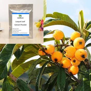 

Hot selling organic loquat leaf extract powder 99% ursolic acid, anti-hepatitis, lower blood lipid , treat cough, prevent virus