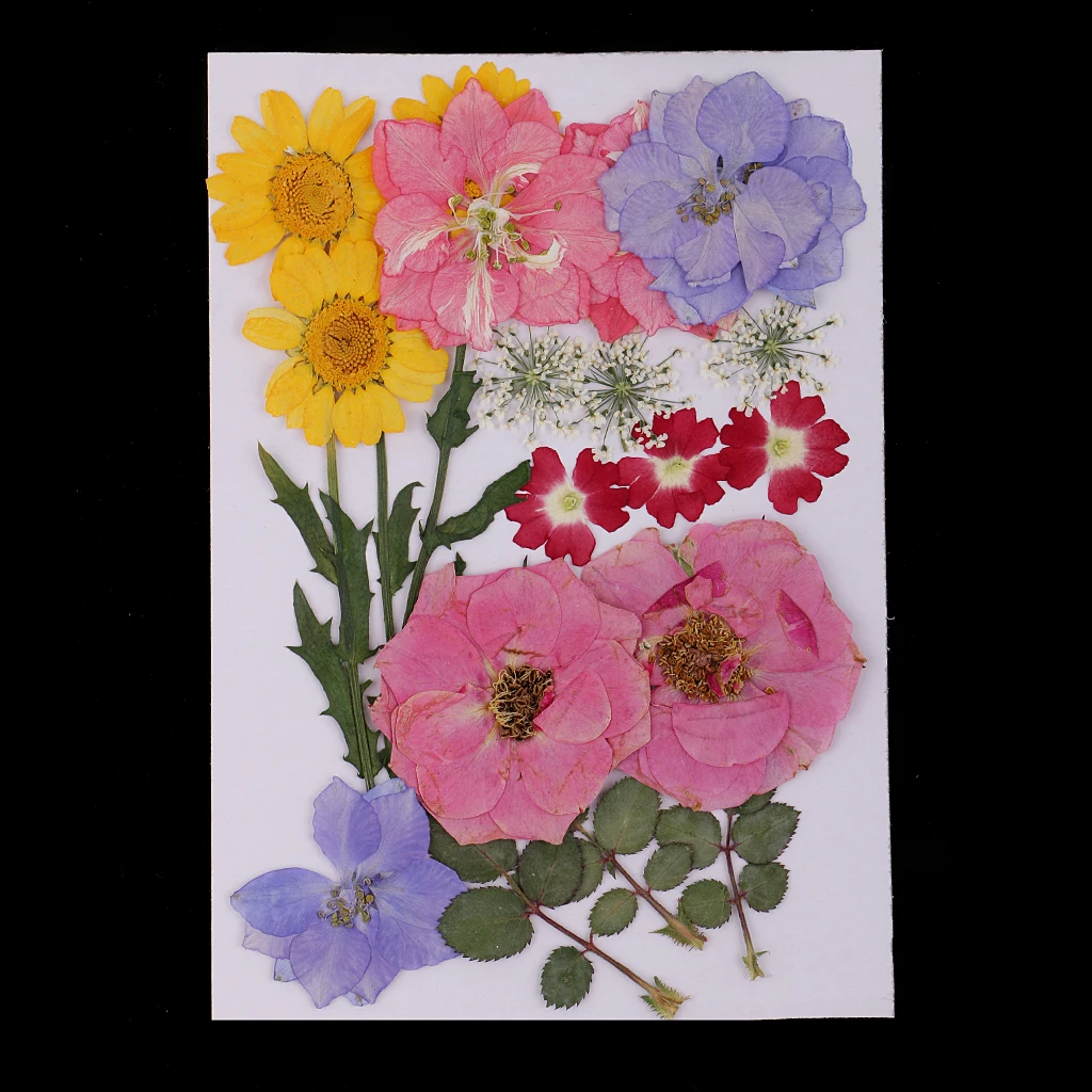 Lots Mixed Real Pressed Flower Dried Flowers Scrapbooking Phone Cover DIY Crafts Home Decoration Jewelry Making