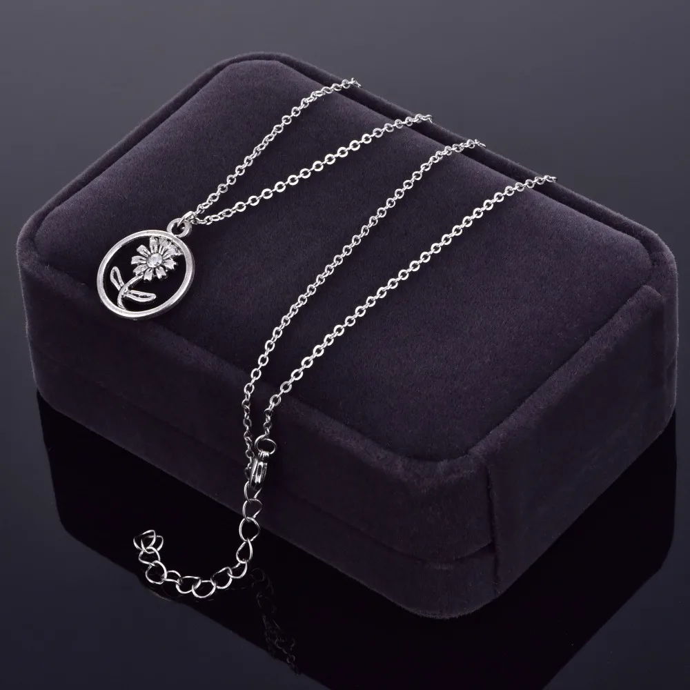 6873346891_532200316