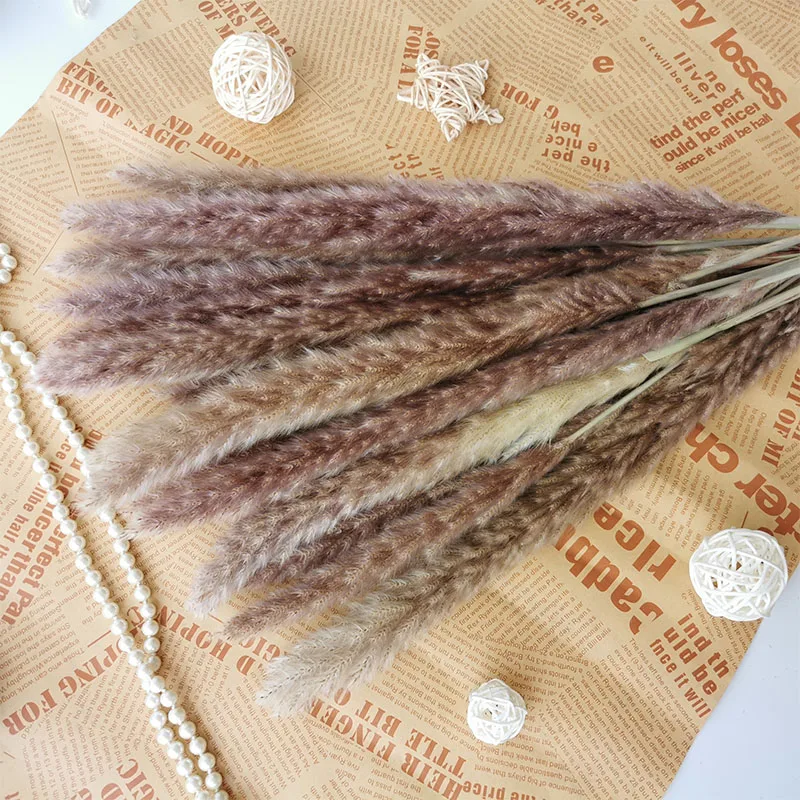 30pcs Small Pampas Grass Bulrush Natural Dried Phragmites Christmas Home Decor Diy Dried Real Flowers Bouquet Flower Arrangement