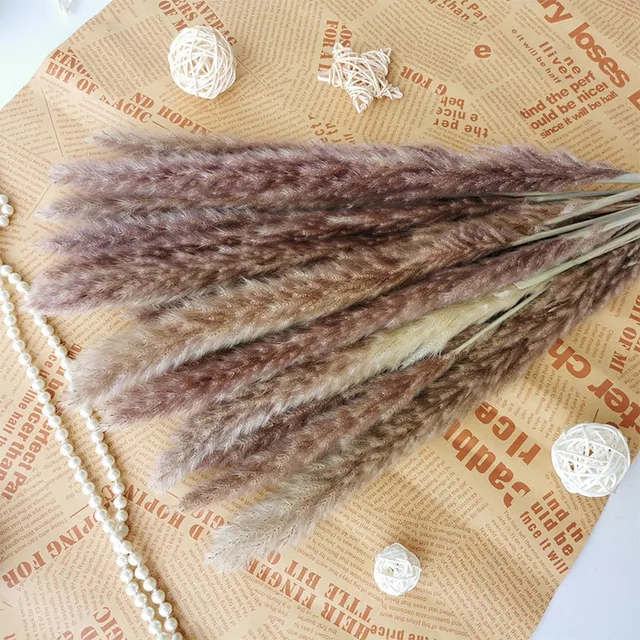 30pcs Small Pampas Grass Bulrush Natural Dried Phragmites Christmas Home Decor Diy Dried Real Flowers Bouquet Flower Arrangement E