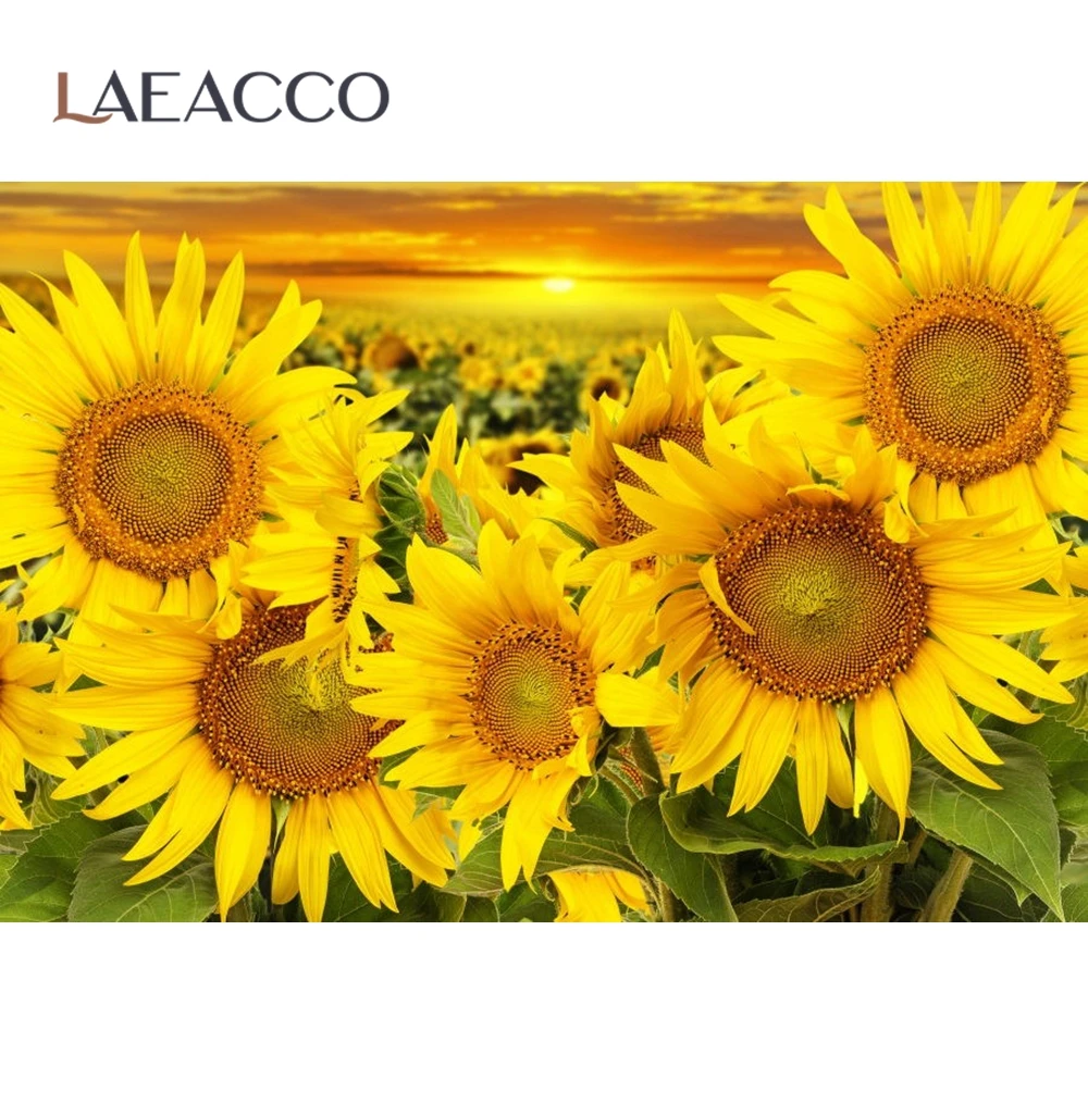 Laeacco подсолнухи живописный закат природа светильник боке комнаты с