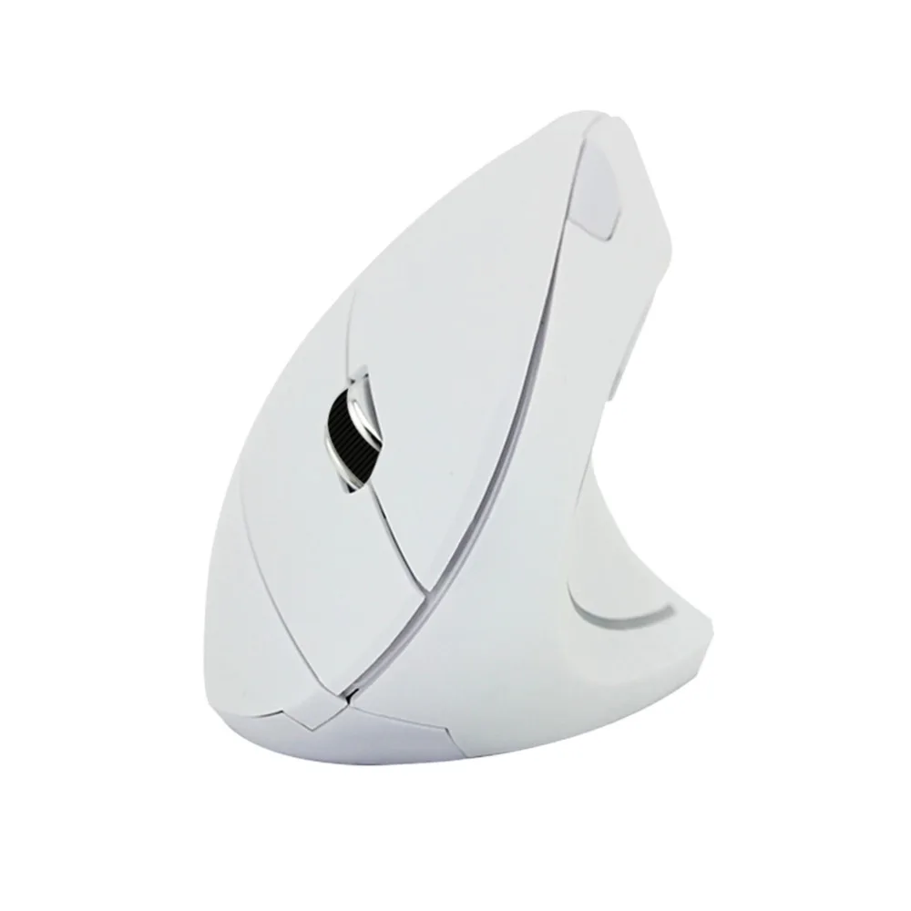 316749_no-logo_316749-3-22-g