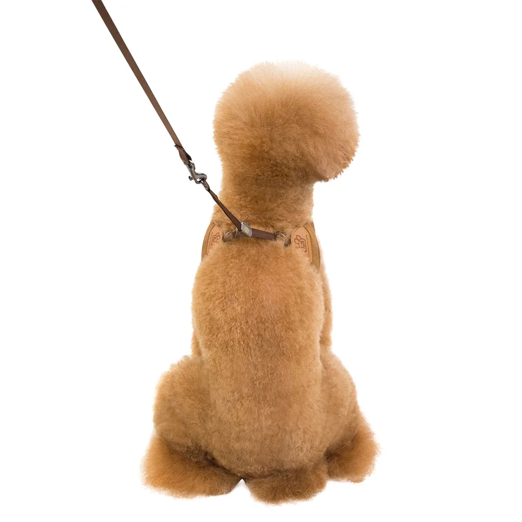 New Adjustable Pet Cat Dog Breathable Traction Fashion Comfortable Chest Strap Teddy For Dog Walking Pet Harness S-l Size