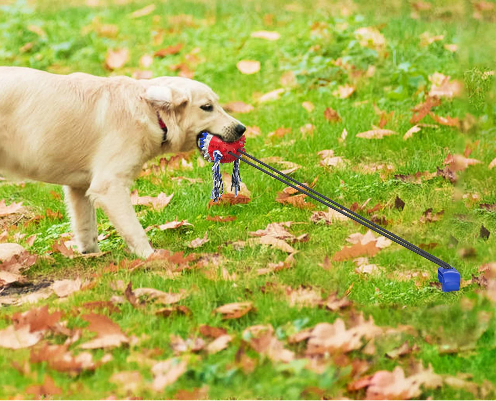 DogMEGA Tug Toys for Dogs Outdoor