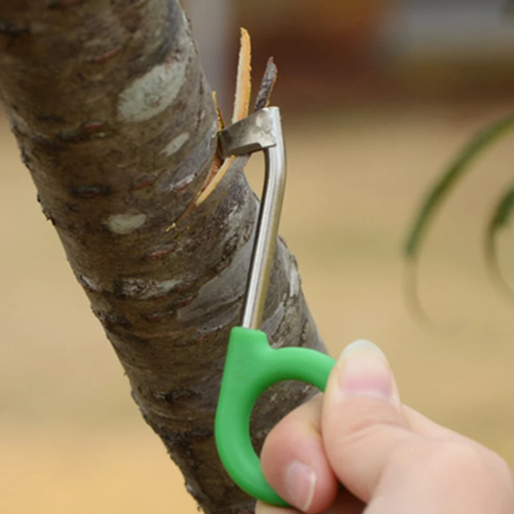 tesoura cintas faca jardim frutas árvore ferramentas de poda uva