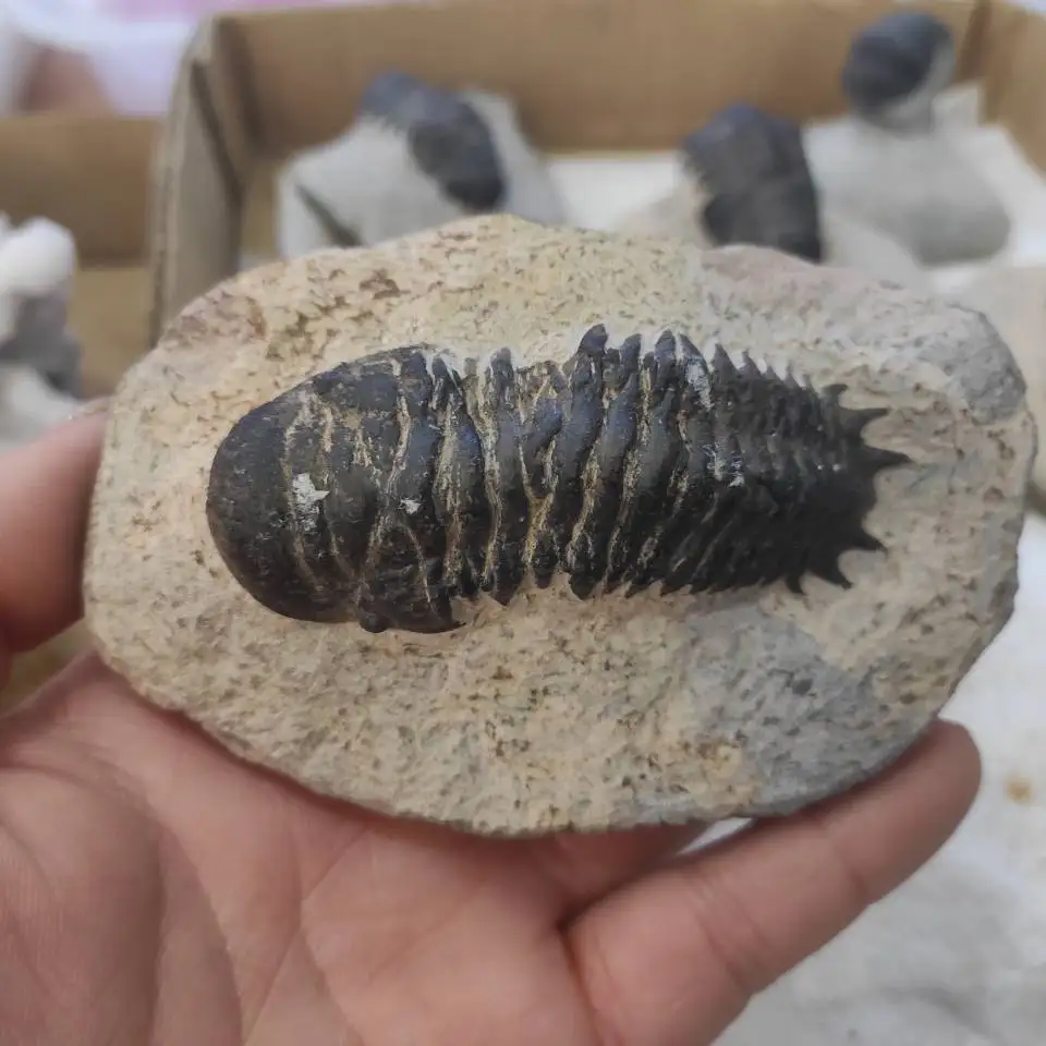 QQ图片20200425145609