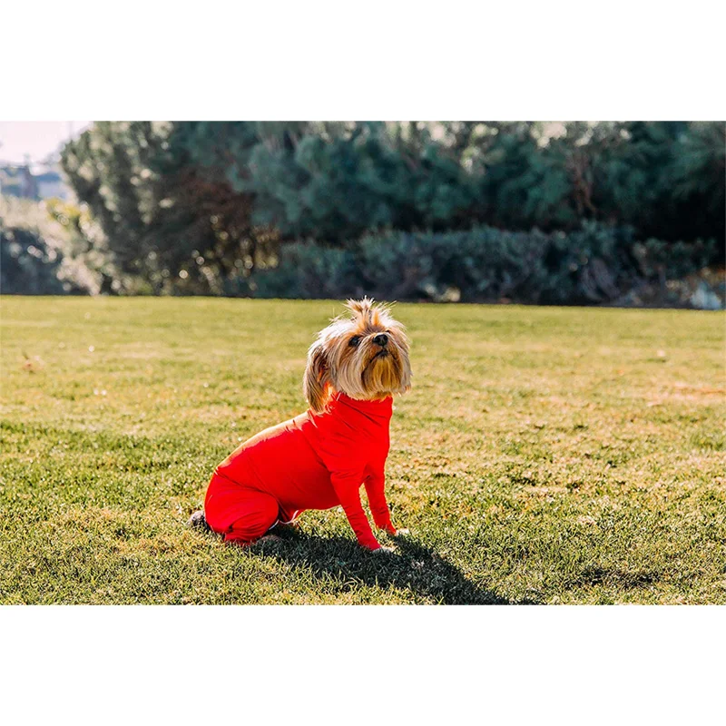 Одежда для собак эластичные колготки одежда защита от выпадения волос