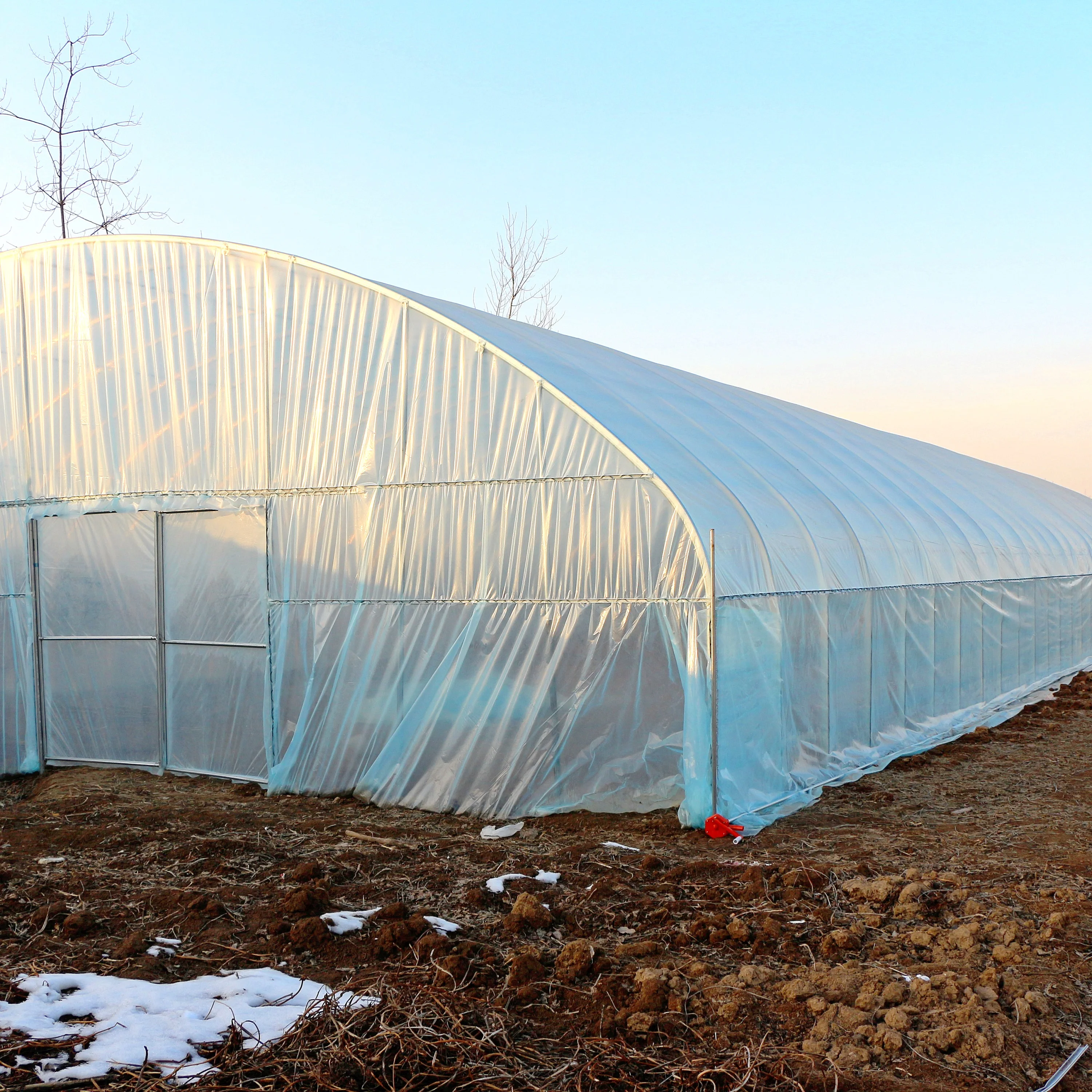 8Mx50M-Hot dip galvanized structure Greenhouse for planting cucumber and tomato in outdoor garden