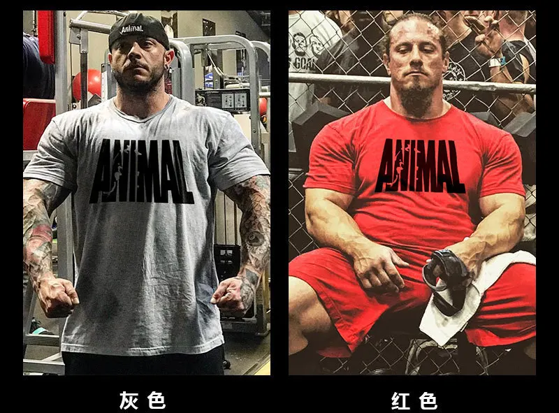 Muscle Dr. Европа и Америка популярный бренд стиль лето свободный крой фитнес вырез лодочкой короткий рукав мужская Спортивная футболка Printin