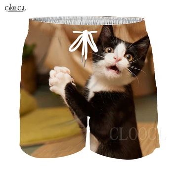 

Newest Cat Kitty Pattern Kids Shorts For Boys Girls Garden Flower Cat 3D Print Toddler Children's Shorts Casual Streetwear Pants