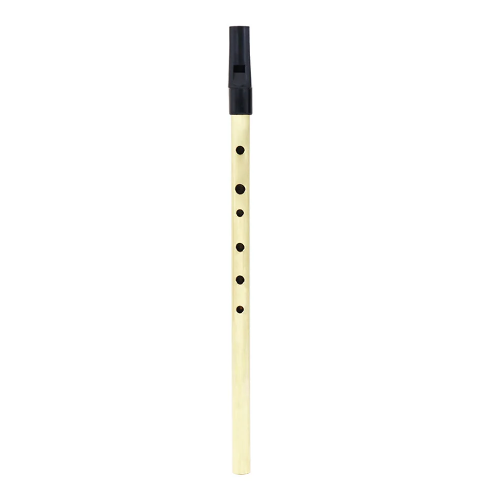 

D Tune 6 Hole Beginner Tin Mouth Gift Popular Whistle Flute Portable Kids Safe Practical Music Durable Irish Instrument