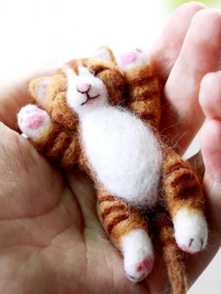 Mini Sleeping Cat Needle Felting Kits For Beginners, Needles, Finger  Guards, Foam Mat, Instructions, Diy Felting Craft Gift - Felt Diy Package -  AliExpress