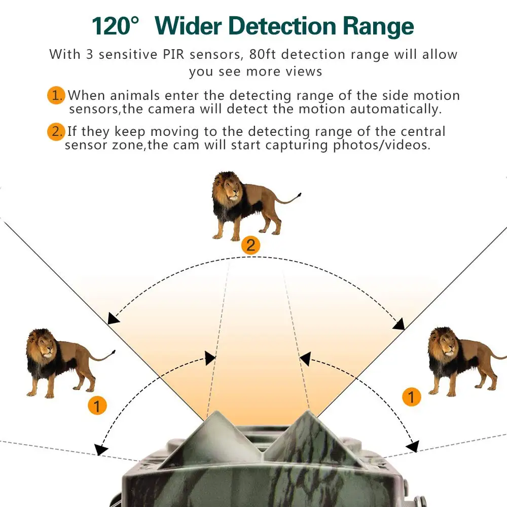 61uxKphYuqL._SL1000_