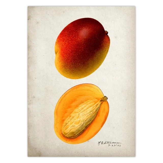 Fruit-Kitchen-Poster-Vintage-Poster-Antique-Pear-Apple-Orange-Pineapple-Wall-Art-Decorative-Picture-Kraft-paper.jpg_.webp_640x640 (8)