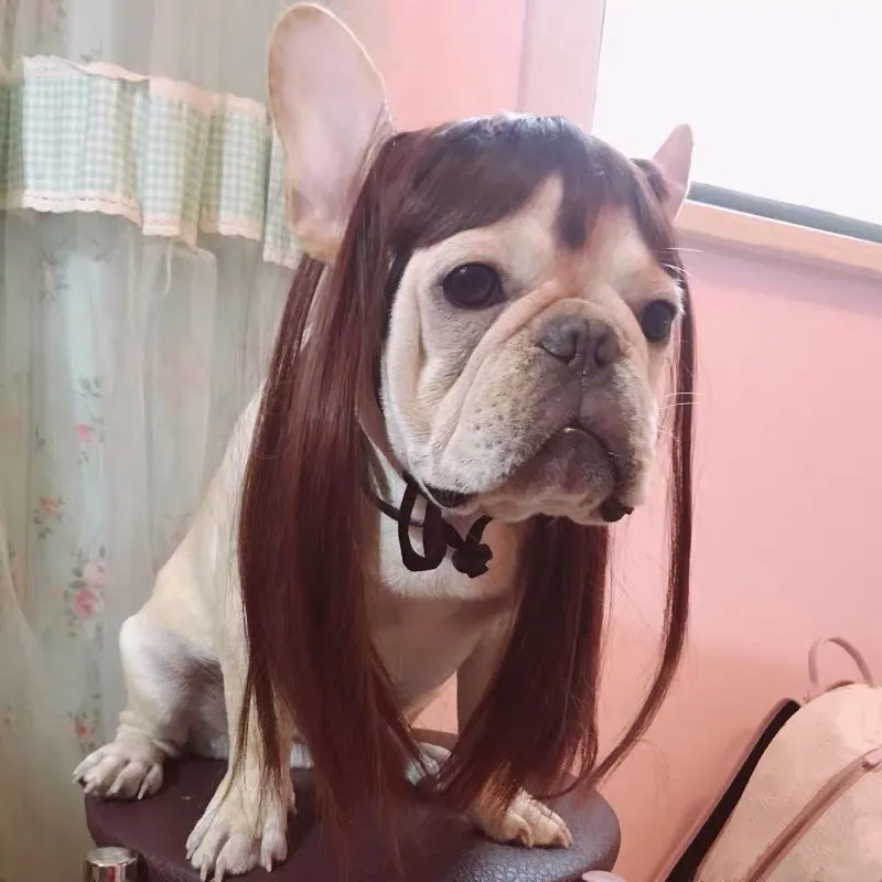 French Bulldog Funny Pet Dog Wig Soft Synthetic Hair Dogs Cute Cap For Cosplay Halloween Costume Fancy Dress Lovely Gift HPC01