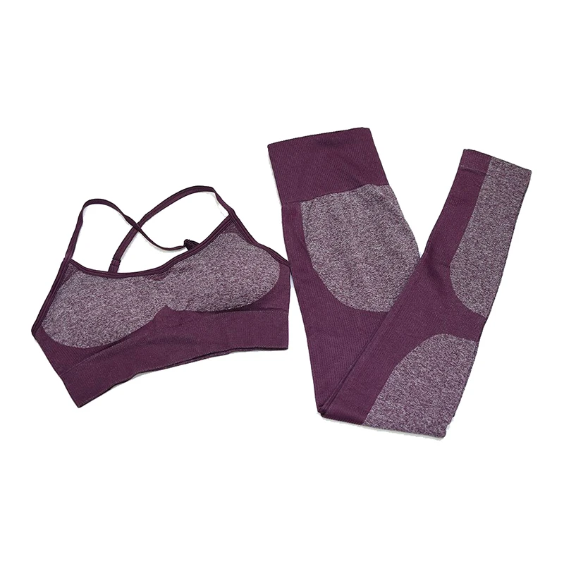 Dark Purple Одежда для тренажерного зала и фитнеса, комплект из 2 предметов для йоги, женский спортивный костюм, одежда для тренировок, спортивный костюм для бега, Бесшовные штаны, леггинсы, бюстгальтер, спортивная одежда - Цвет: Dark Purple