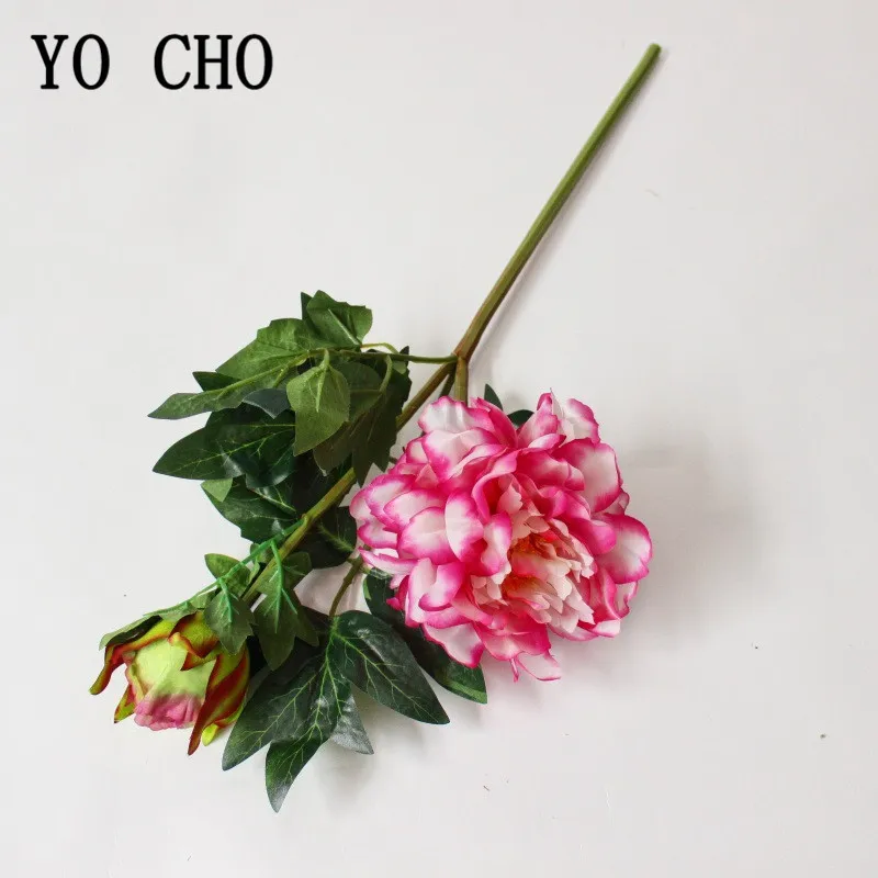 9337470179_2132096240