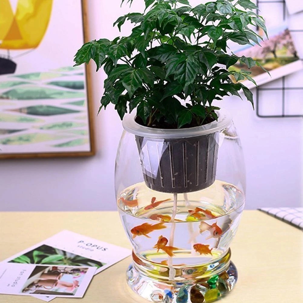 散水プランターフラワーポット透明怠惰な植木鉢綿ロープ吸引水は腐った水耕植物コロニー形成 Watering Kits Aliexpress