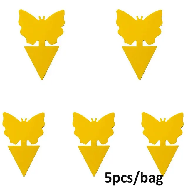 5pcs Butterfly