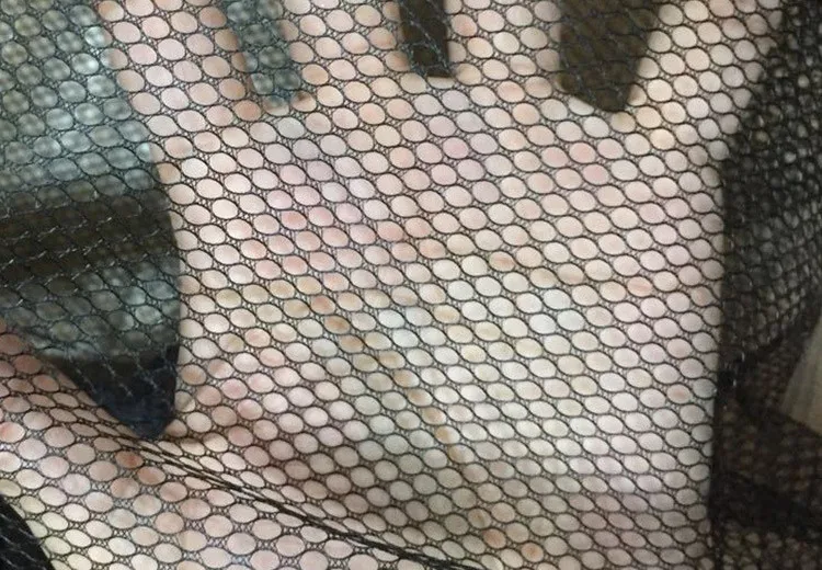 9170515279_1501556473