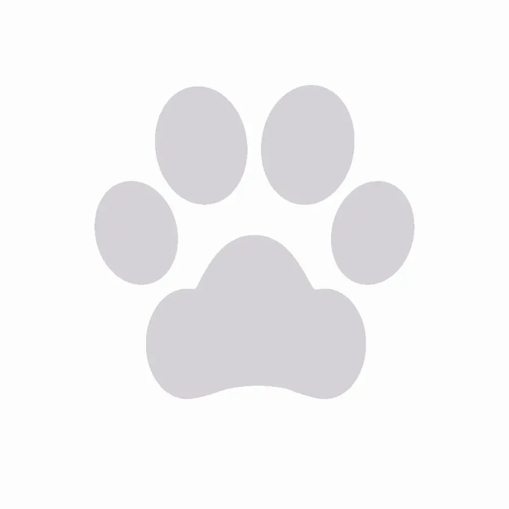 Silver Paw RJ пользовательский любимого питомца, имя, изображение 100 языков I Love you ожерелье кулон кошка собака Лапа кости в форме колье леди Для мужчин ювелирные изделия - Окраска металла: Silver Paw
