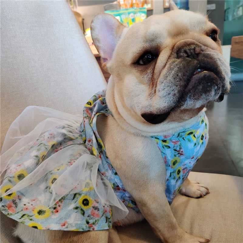 微信图片_20190729182641_副本