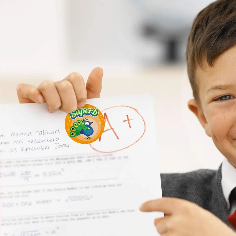 13768024250_258099398