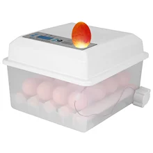 220V inkubator jaj w pełni zautomatyzowany 16 jaj cyfrowy Mini Brooder mały kurczak do jaj ptasich inkubator jaj automatyczne narzędzie do inkubacji gospodarstwa tanie i dobre opinie Z tworzywa sztucznego CN (pochodzenie) 16pcs Eggs Incubator kura Zwierzęta gospodarskie
