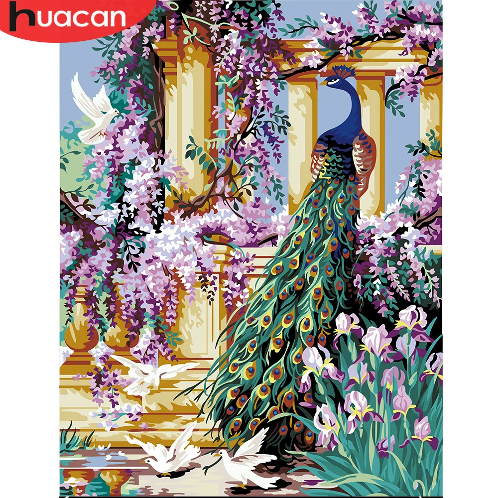 

HUACAN Painting By Number Animal Peacock Kits Drawing Canvas HandPainted Picture DIY Art Home Decoration Gift
