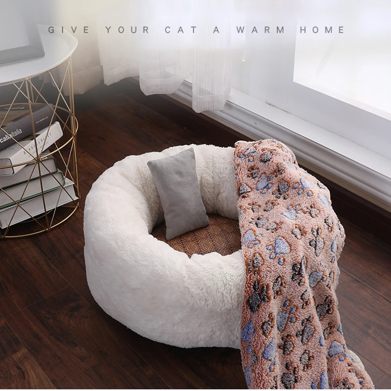 10776660281_459882202