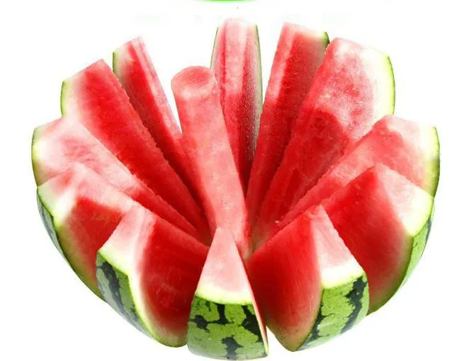 HTB1rz7LJVXXXXa6XVXXq6xXFXXXP