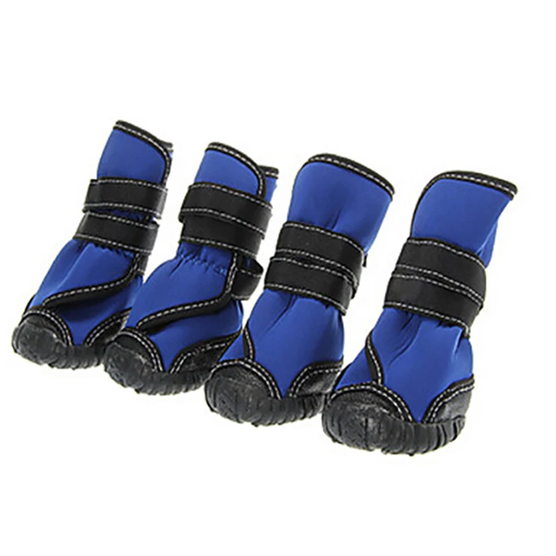 HTB19LwgKXXXXXafXXXXq6xXFXXXp