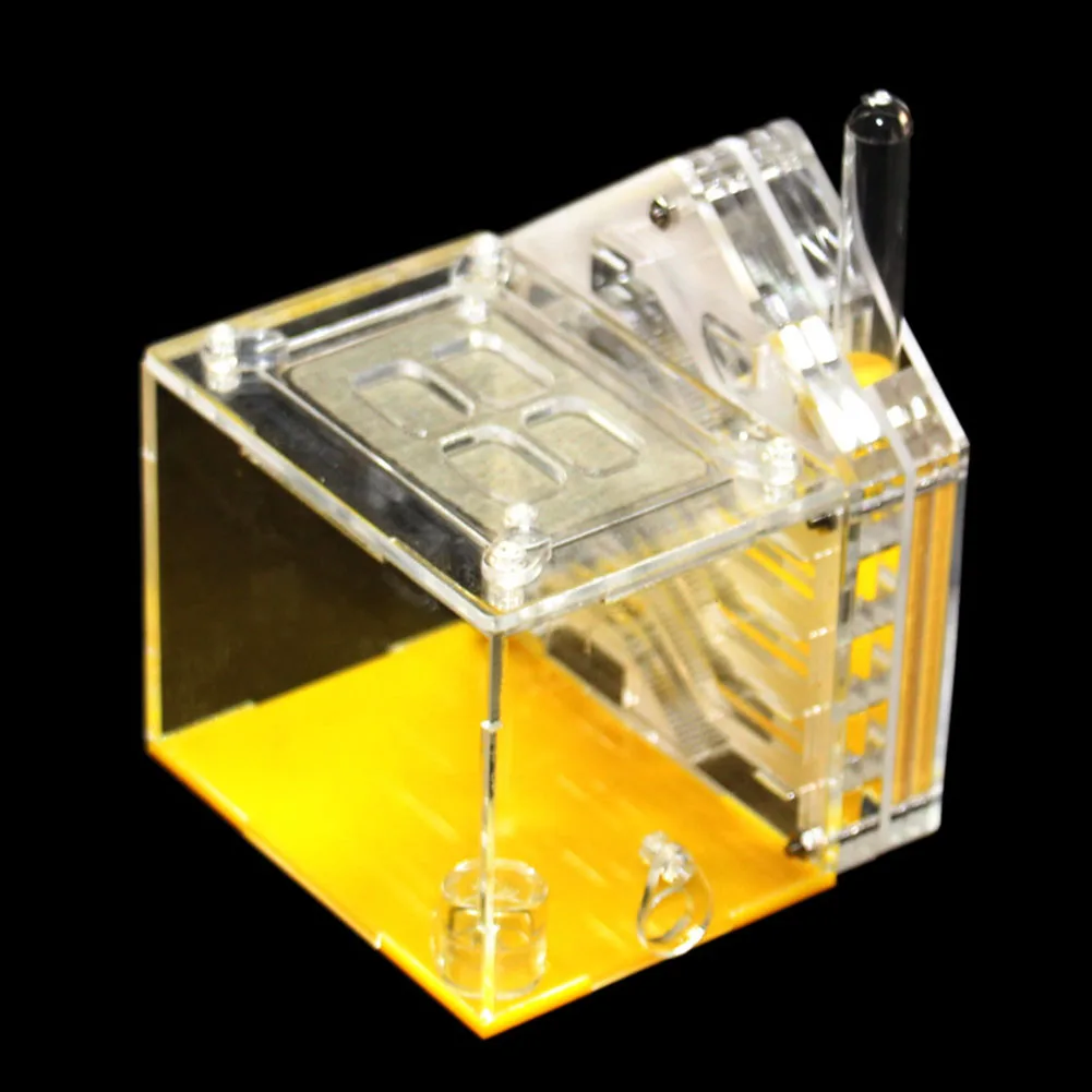 Домашнее животное, насекомое, сделай сам, с областью кормления, домашняя порода, фермерский дом, Муравьиное гнездо, вилла, увлажняющее, прозрачное, акриловое, маленькое