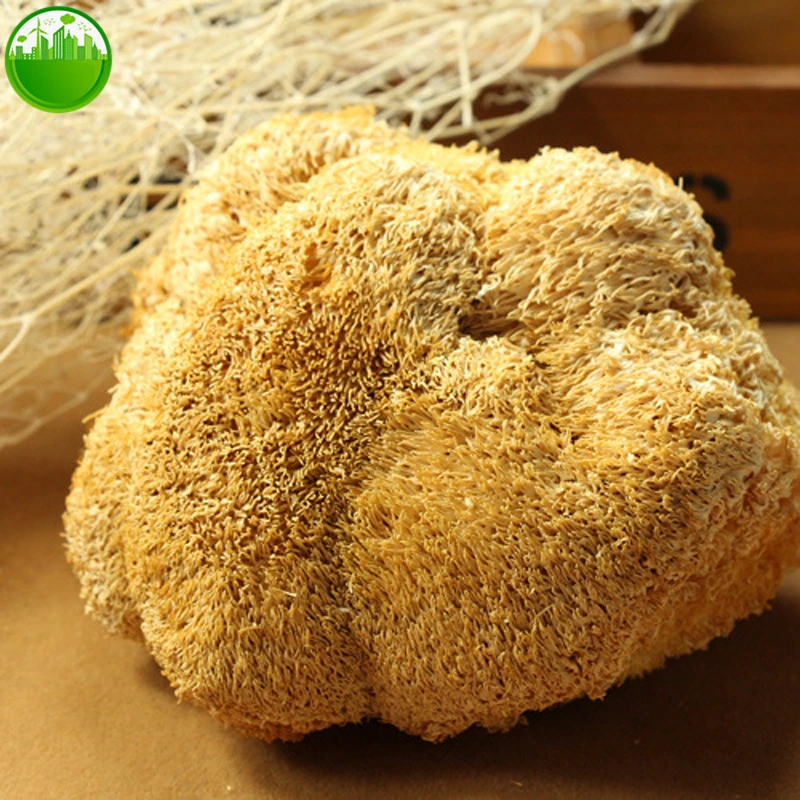 1202-d71e1d.jpg Hericium Erinaceus Dried Lion's Mane Mushroom Monkey Mushroom