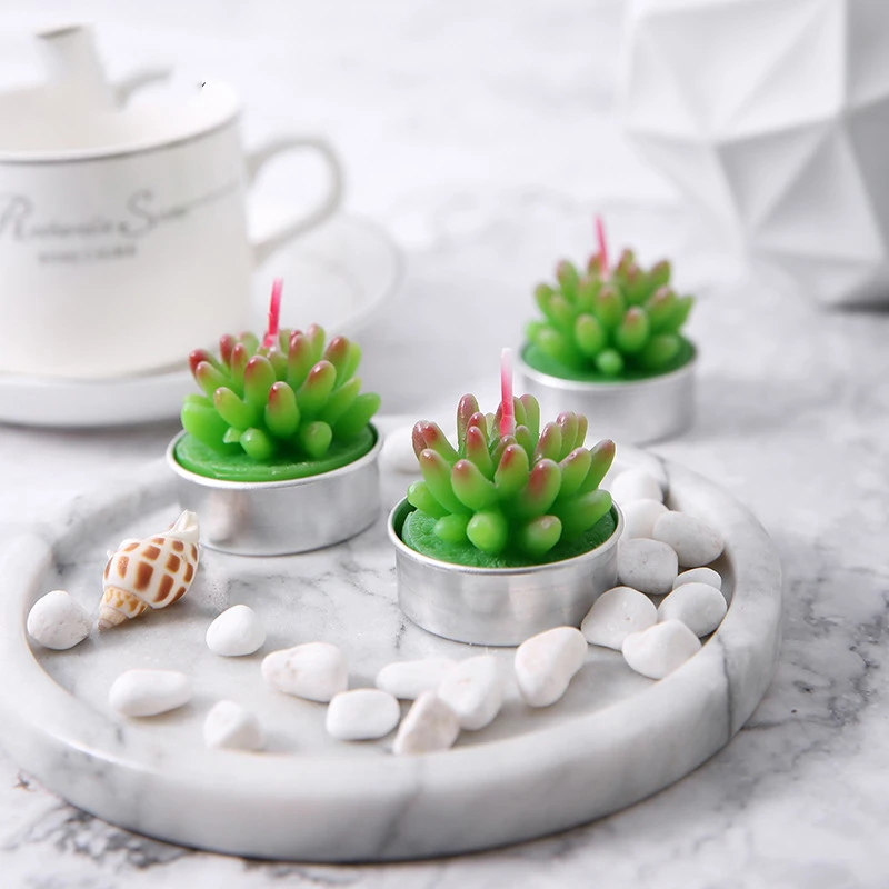 3Pcs Ornament Candles Creative 3D Cactus Simulated Plants Smokeless Scented Candle Home Decoration Valentine Day Gift | Дом и сад